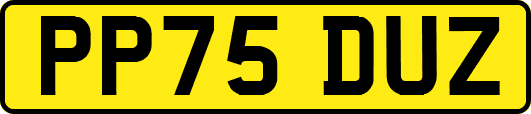 PP75DUZ