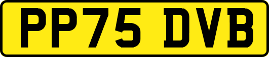 PP75DVB