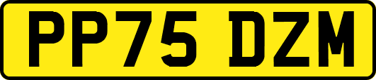 PP75DZM