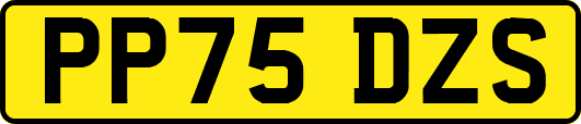 PP75DZS