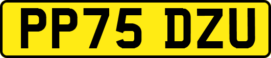 PP75DZU