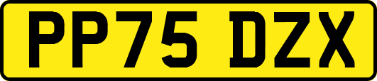 PP75DZX