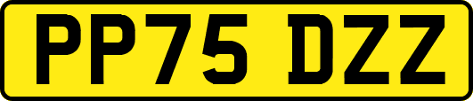 PP75DZZ