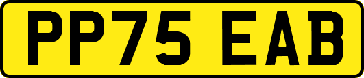 PP75EAB
