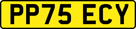 PP75ECY