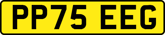 PP75EEG