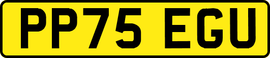 PP75EGU