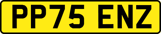 PP75ENZ