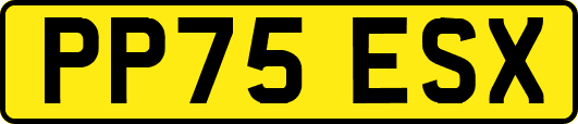 PP75ESX