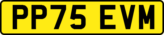 PP75EVM
