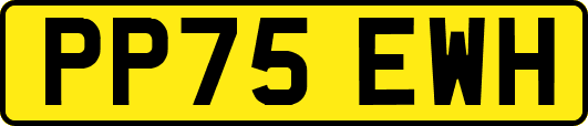 PP75EWH