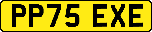 PP75EXE