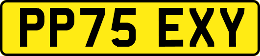 PP75EXY