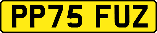 PP75FUZ