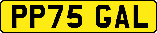 PP75GAL