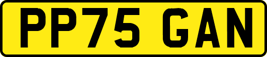 PP75GAN