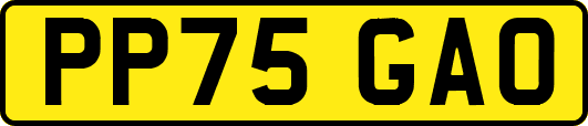 PP75GAO