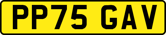 PP75GAV