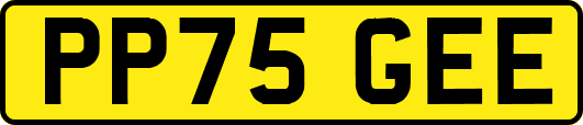 PP75GEE