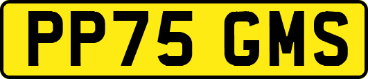 PP75GMS