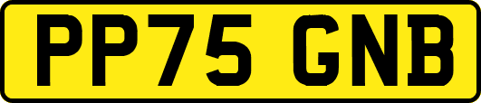 PP75GNB
