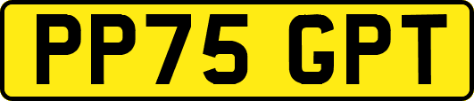 PP75GPT