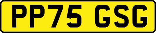 PP75GSG