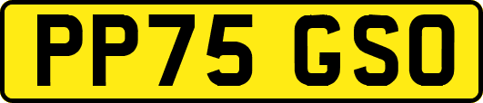 PP75GSO