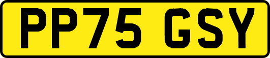 PP75GSY