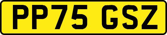 PP75GSZ
