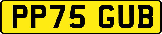 PP75GUB