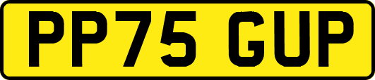 PP75GUP