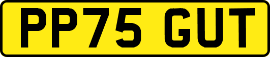 PP75GUT