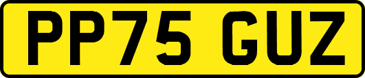 PP75GUZ