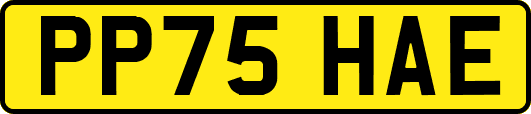 PP75HAE