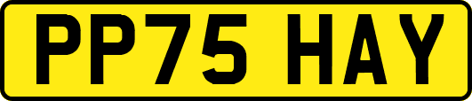 PP75HAY