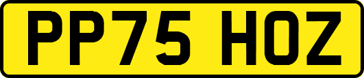 PP75HOZ