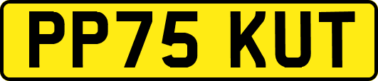PP75KUT