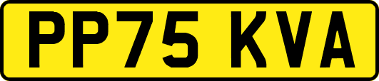PP75KVA