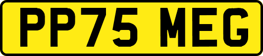 PP75MEG