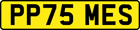 PP75MES