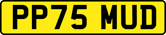 PP75MUD