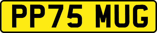 PP75MUG