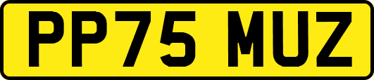 PP75MUZ