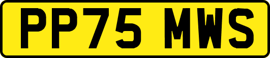 PP75MWS