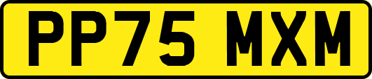 PP75MXM