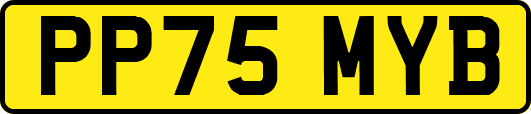 PP75MYB