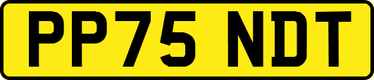 PP75NDT