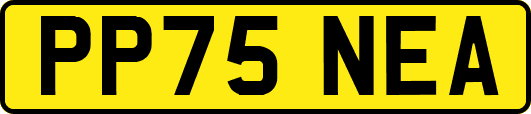 PP75NEA