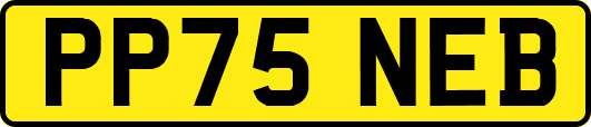 PP75NEB